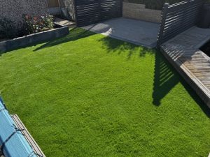 IMG 6247 300x225 - Fencing and Landscaping Mansfield